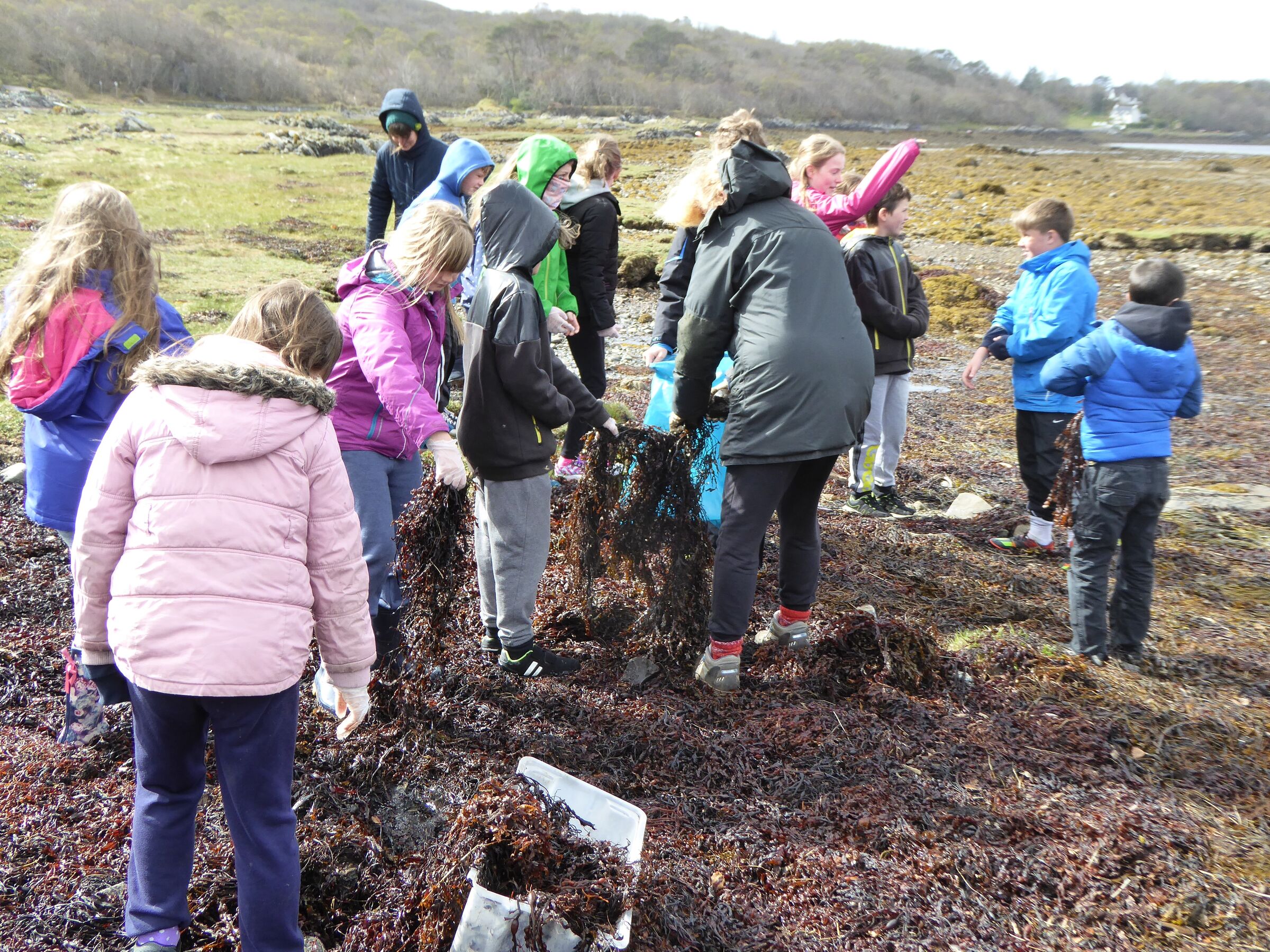 young people doing a beach clean